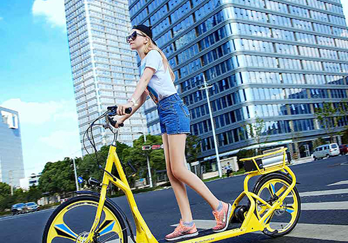 Walking Bike
