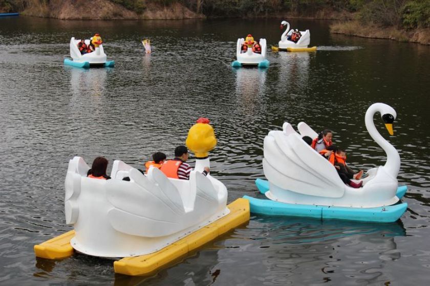 Pedle Boat